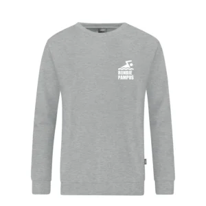 Rondje-Pampus-sweater-grijs